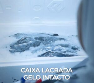 Salmão fresco em fortaleza Jean Veleiro (3)