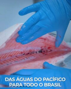 Salmão fresco em fortaleza Jean Veleiro (5)