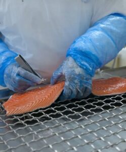 Salmão fresco em fortaleza Jean Veleiro (8)