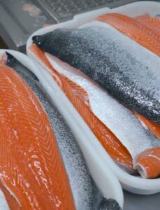 Salmão fresco em fortaleza Jean Veleiro (9)