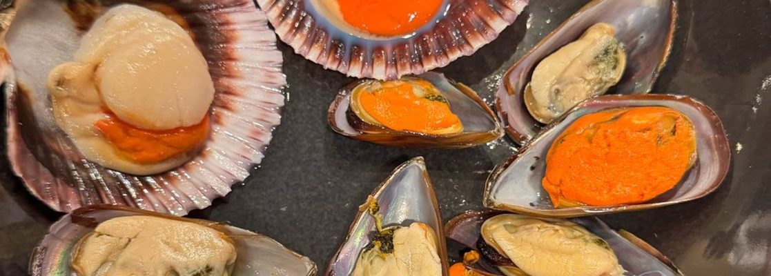 banner jean veleiro site 3