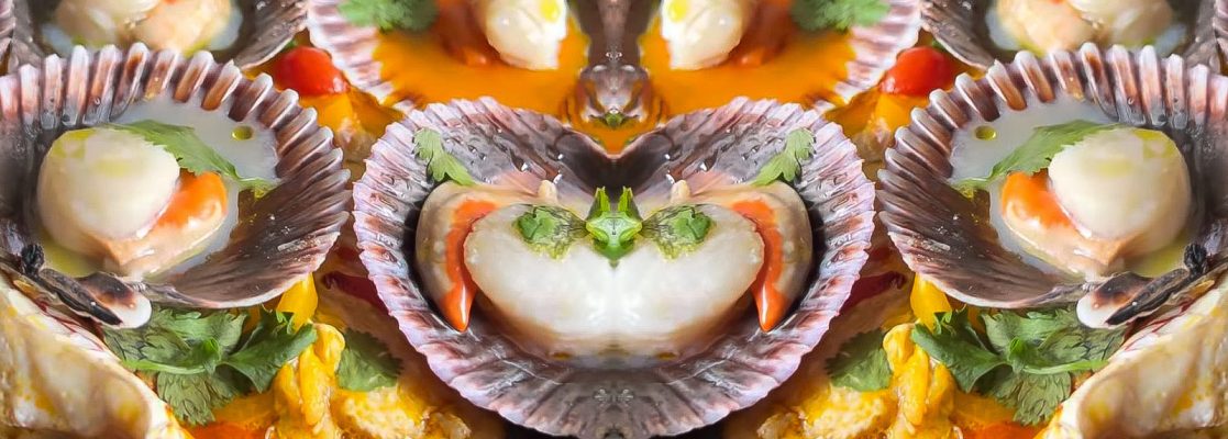 banner jean veleiro site